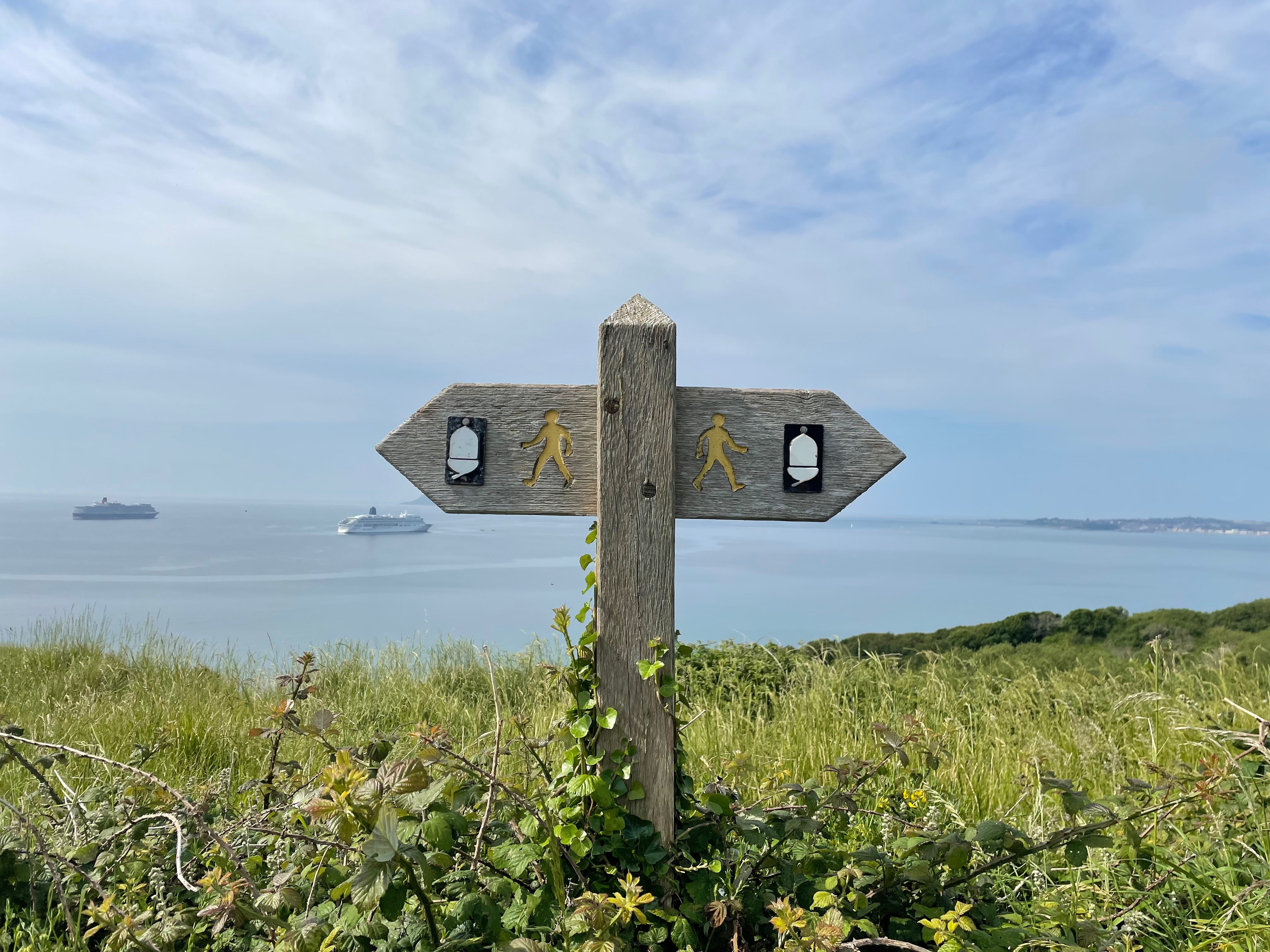 a crossroads sign with two directions in front of a cliff